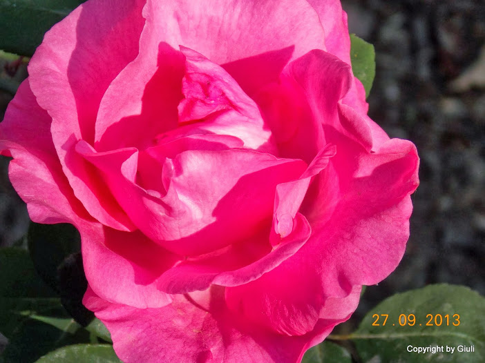 DSCN0807.JPG