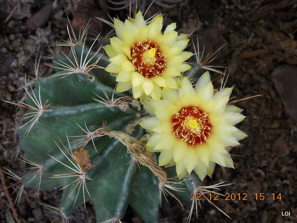 DSCN0808.JPG