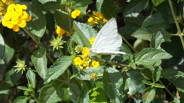 DSCN0812.JPG