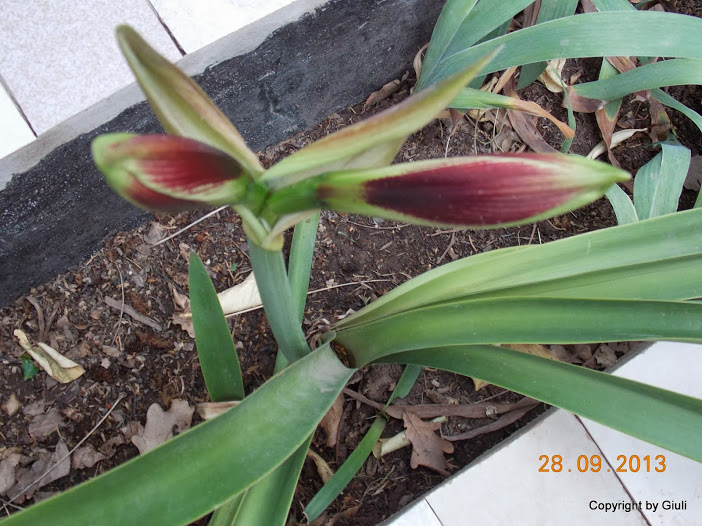 DSCN0814.JPG