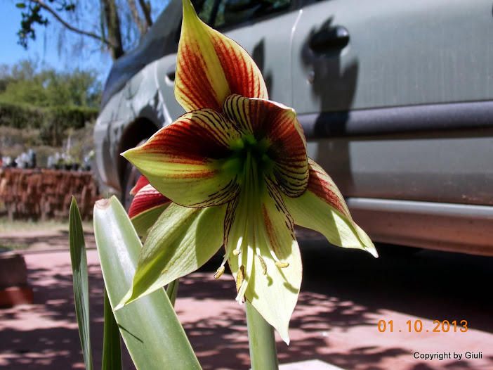 DSCN0815.JPG