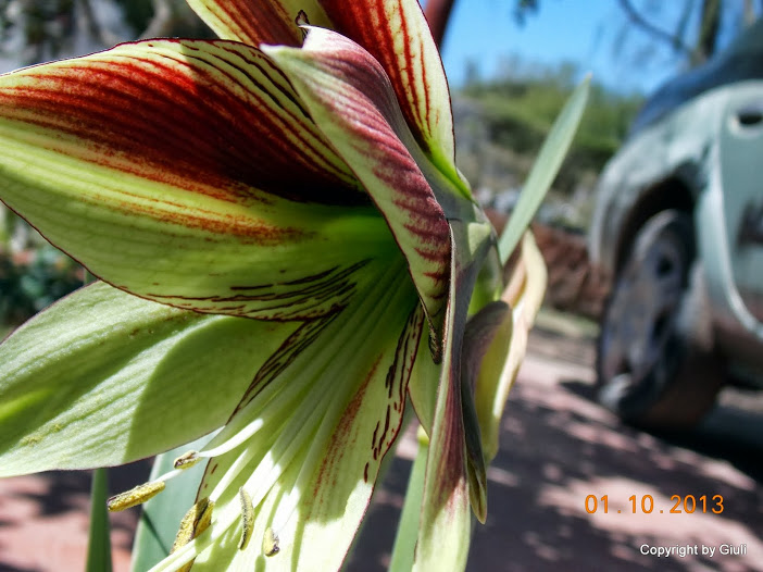 DSCN0818.JPG