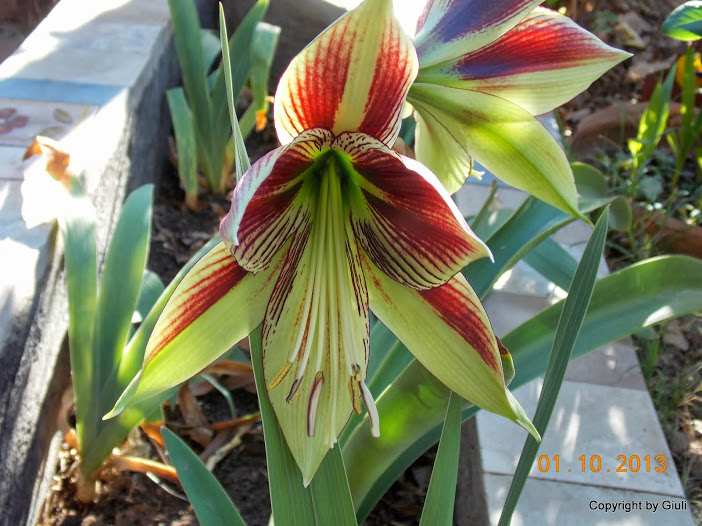 DSCN0819.JPG