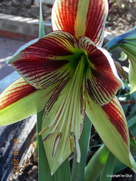 DSCN0821.JPG