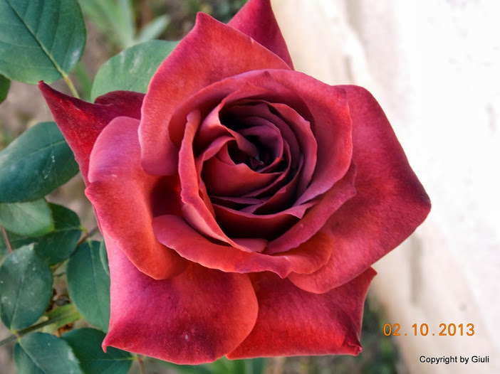 DSCN0825.JPG
