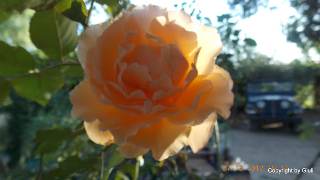 DSCN0833.JPG