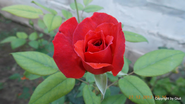 DSCN0841.JPG