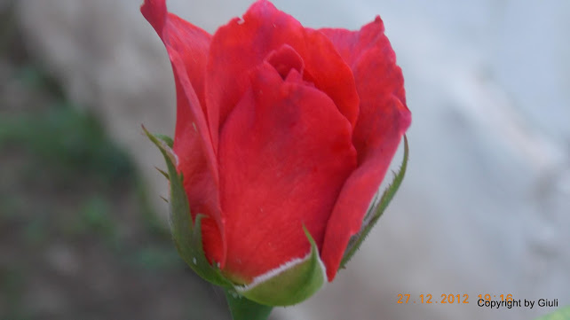 DSCN0842.JPG