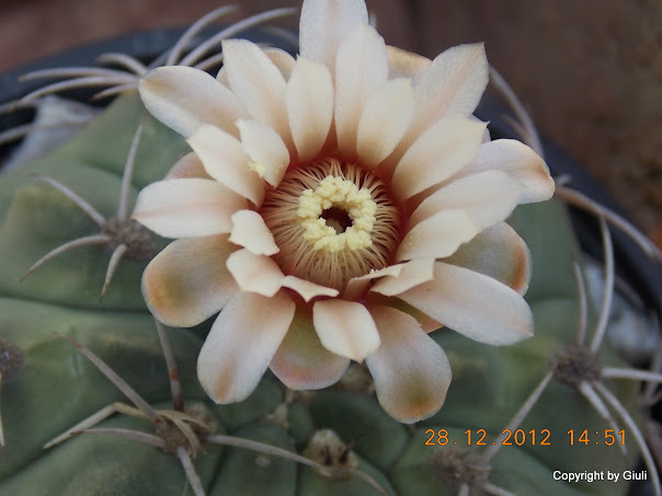 DSCN0843.JPG