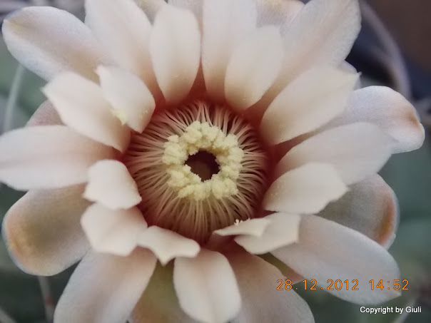 DSCN0844.JPG