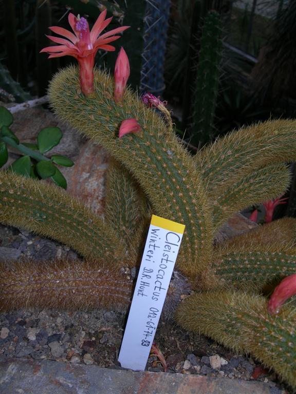 DSCN0849.JPG