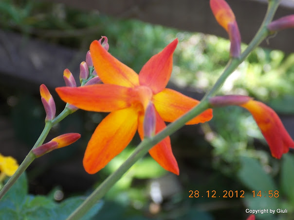DSCN0852.JPG