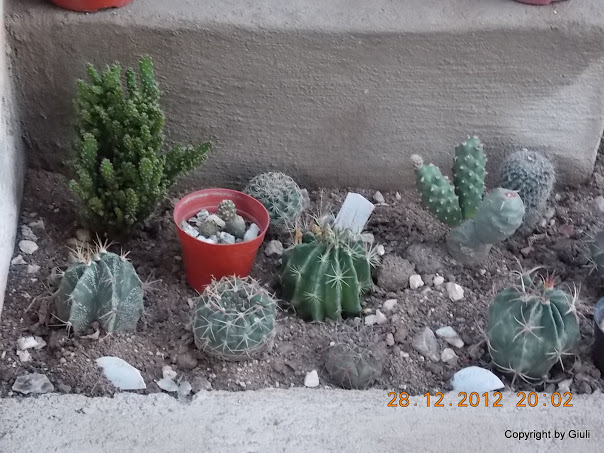 DSCN0855.JPG