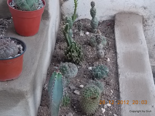 DSCN0857.JPG