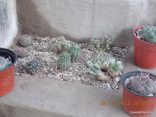 DSCN0858.JPG