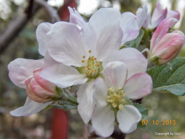 DSCN0858.JPG