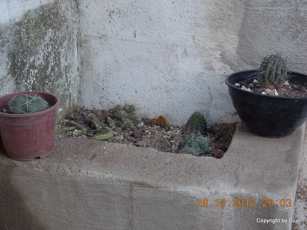 DSCN0860.JPG
