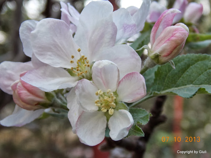 DSCN0860.JPG