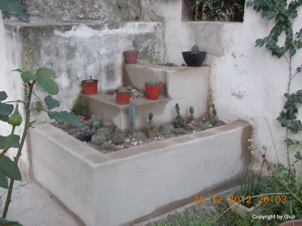 DSCN0861.JPG