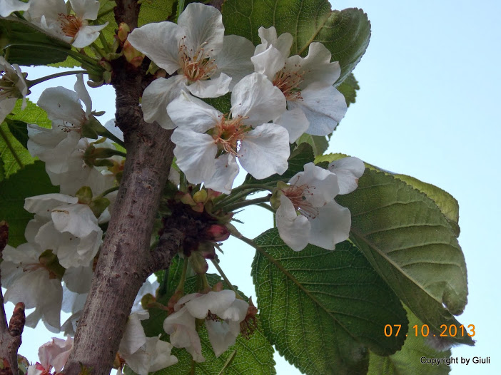 DSCN0861.JPG
