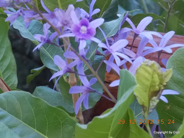 DSCN0864.JPG