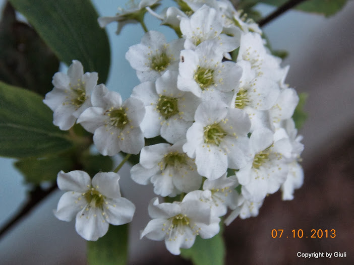DSCN0866.JPG