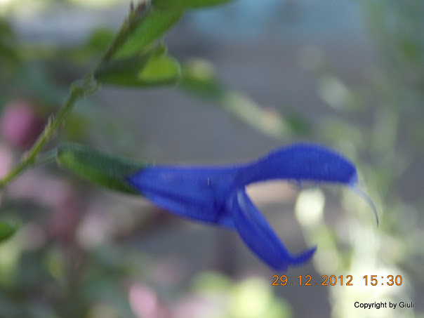 DSCN0872.JPG