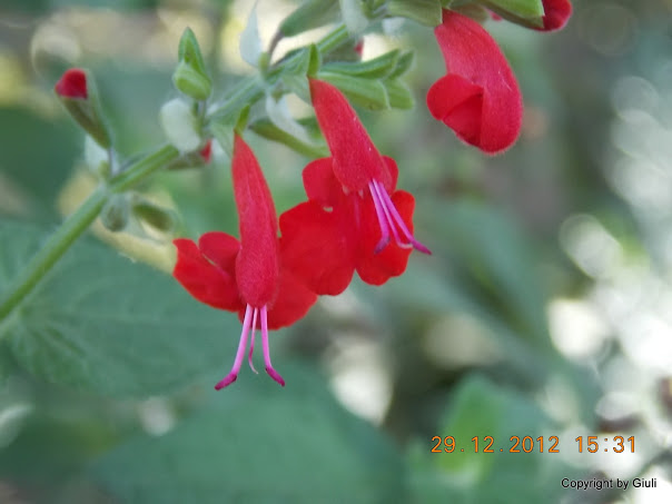 DSCN0874.JPG