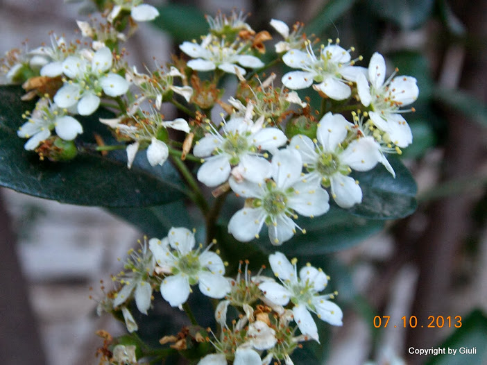 DSCN0876.JPG