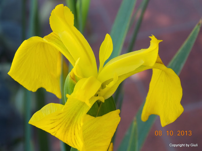 DSCN0877.JPG