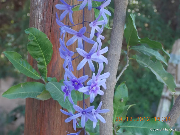 DSCN0878.JPG