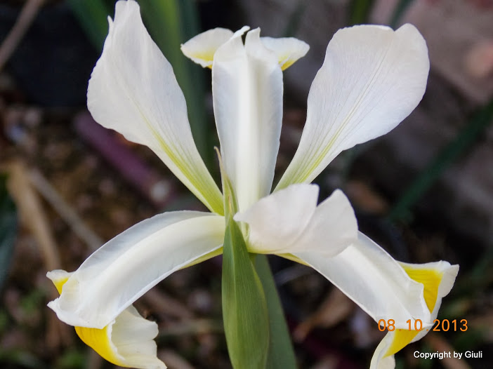 DSCN0878.JPG