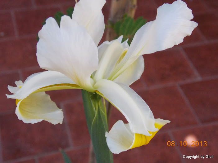 DSCN0879.JPG