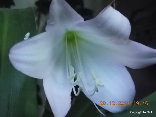 DSCN0884.JPG