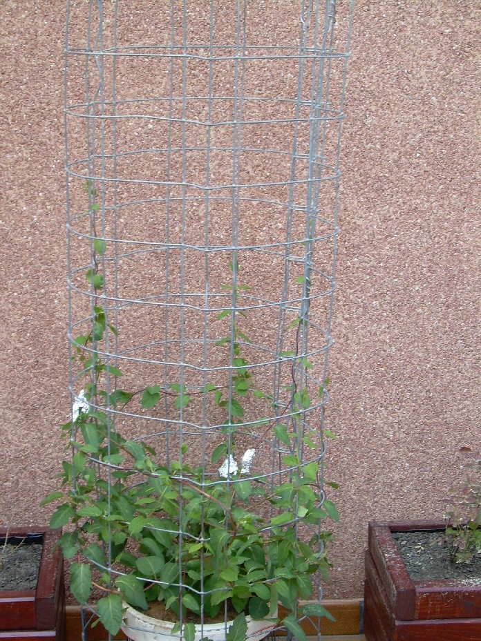 DSCN0887.JPG