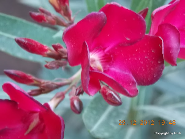 DSCN0890.JPG