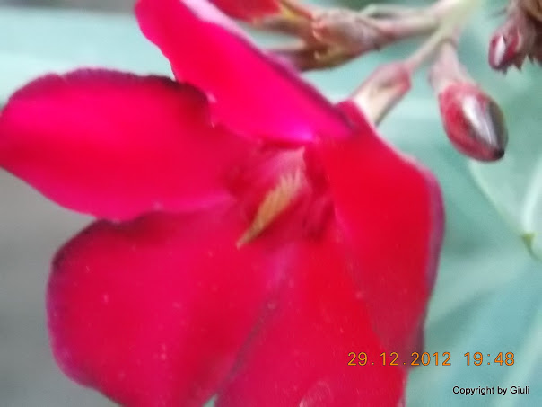 DSCN0891.JPG