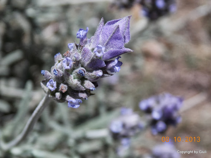 DSCN0891.JPG