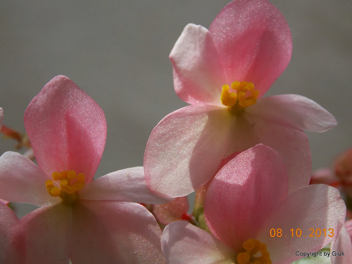 DSCN0901.JPG