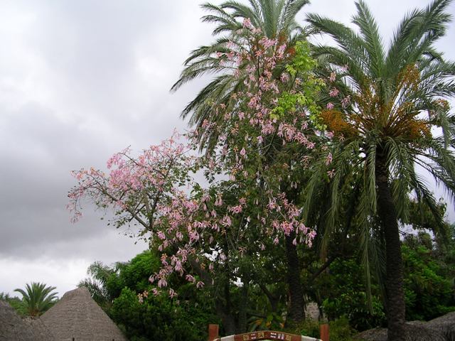 DSCN0901_.JPG
