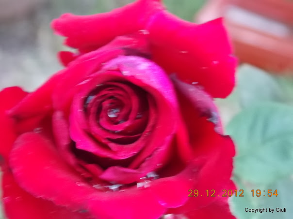 DSCN0902.JPG