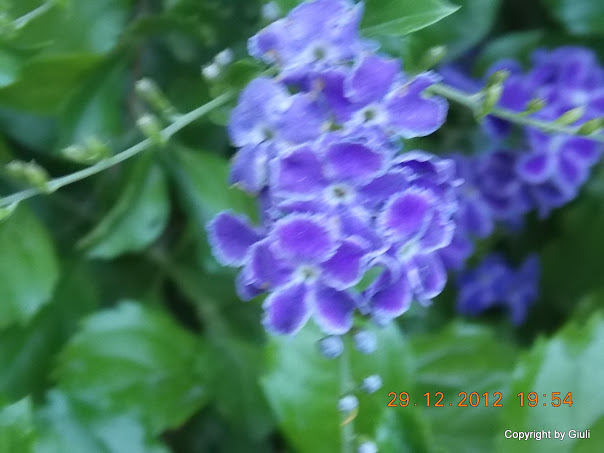 DSCN0903.JPG