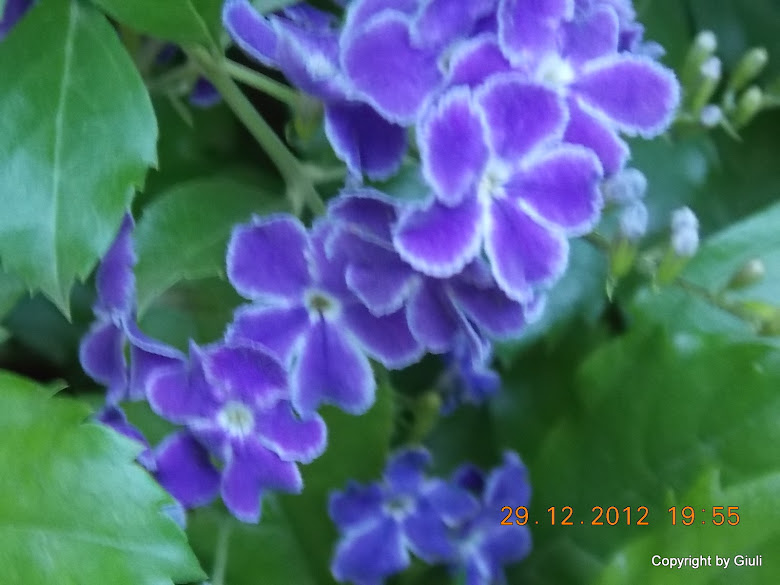 DSCN0904.JPG