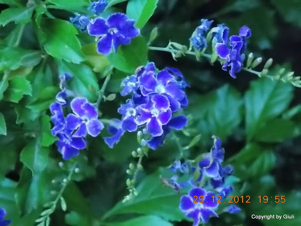 DSCN0905.JPG