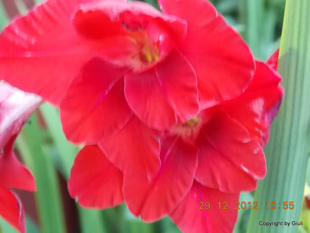 DSCN0906.JPG