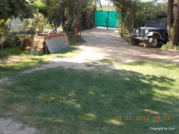 DSCN0911.JPG