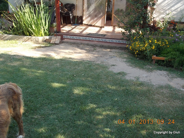 DSCN0913.JPG