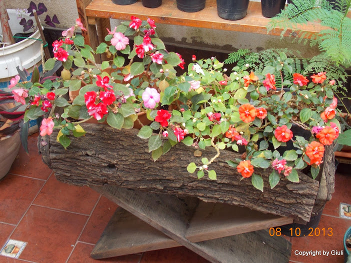 DSCN0916.JPG