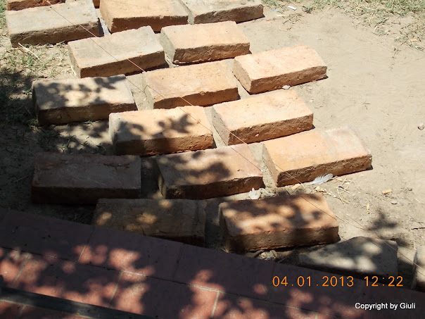 DSCN0921.JPG