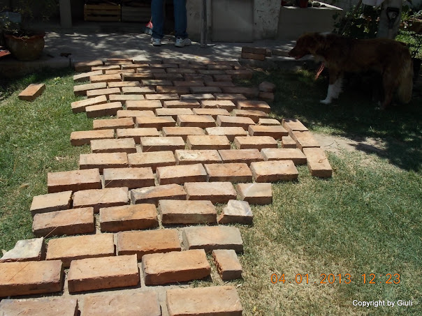 DSCN0924.JPG